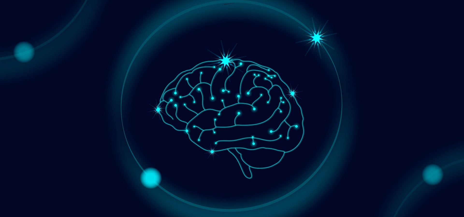 Illustration of brain to highlight the importance of preventing auditory deprivation